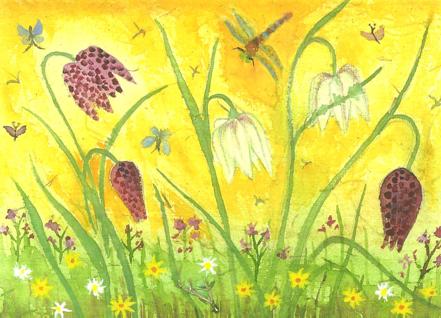 Snakeshead Fritillarias in a Meadow